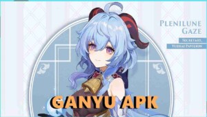 Ganyu Stn 4