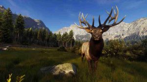 Way of the Hunter 3