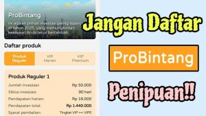 ProBintang 3