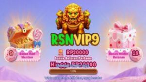 RSNVIP9 2