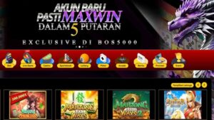 BOS5000 3