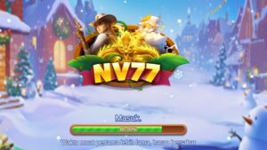 NV77 1
