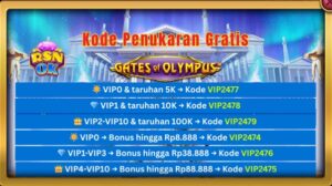 RSNOK 3